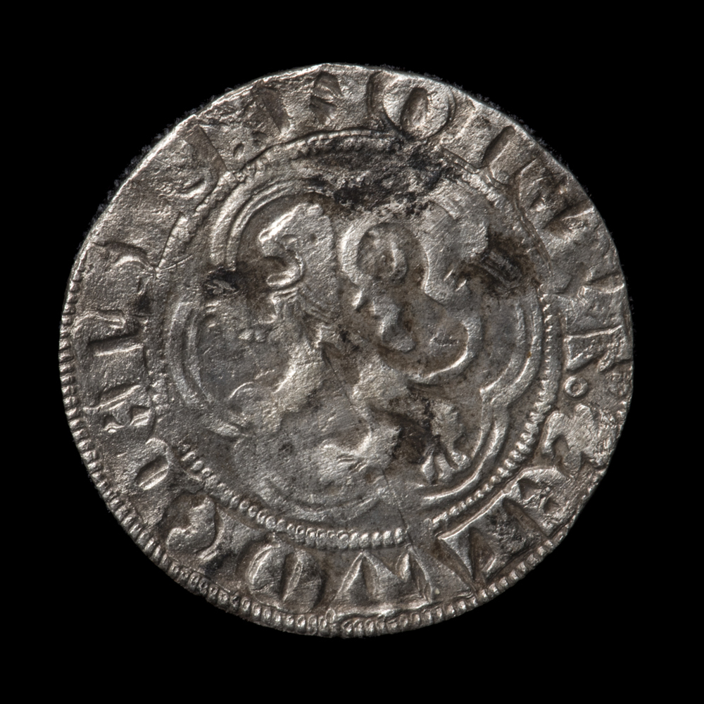 Halve groot, Selwerd op naam Hendrik I (c. 1347 - c. 1356)