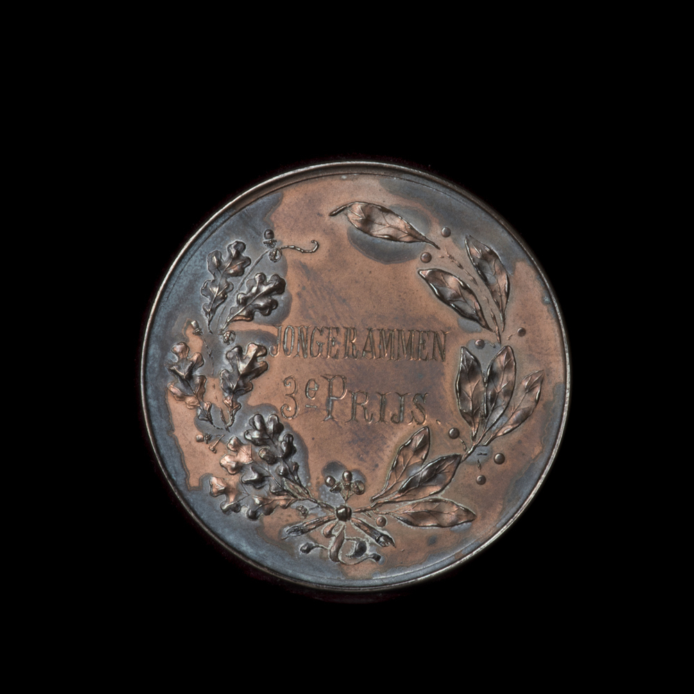 Prijspenning schapenkeuring Noorder Afdeling 1907: 3e prijs jonge rammen