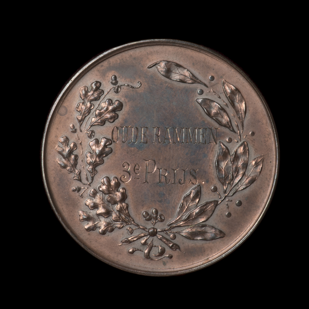 Prijspenning schapenkeuring Noorder Afdeling 1907: 3e prijs oude rammen