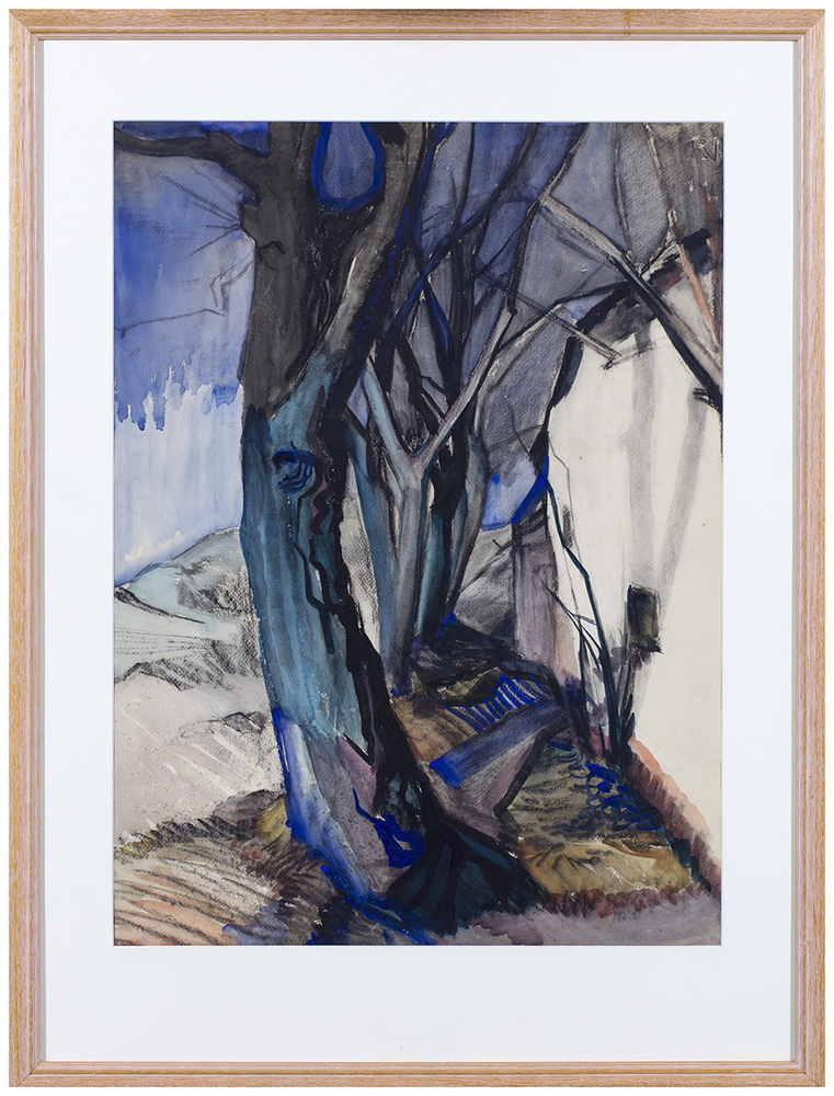 Slagschaduw Blauwborgje