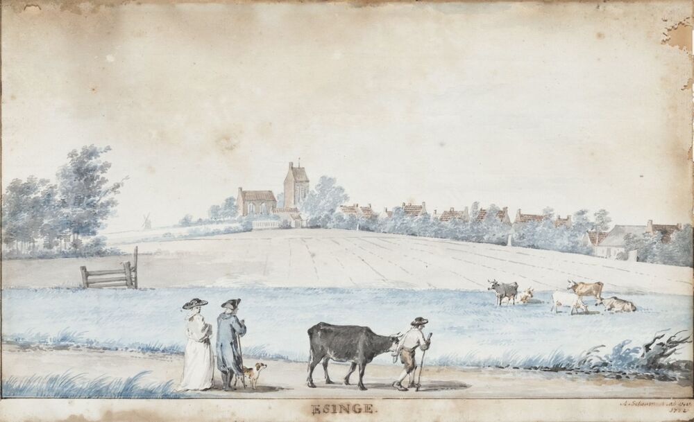 Gezicht op de wierde Esinge (Ezinge)