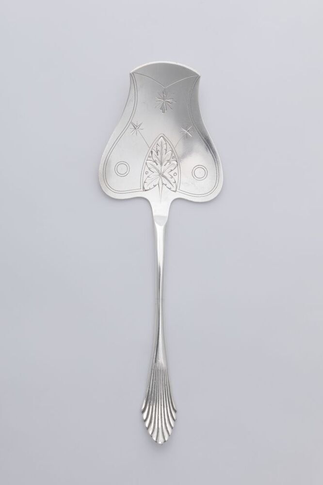 Taart- of gebakschep