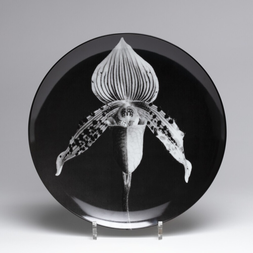 Orchid, 1987 (uit de serie: Flower Suite)