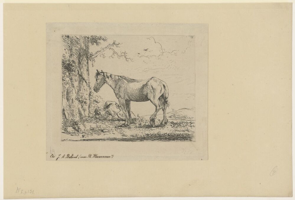 Paard bij twee bomen