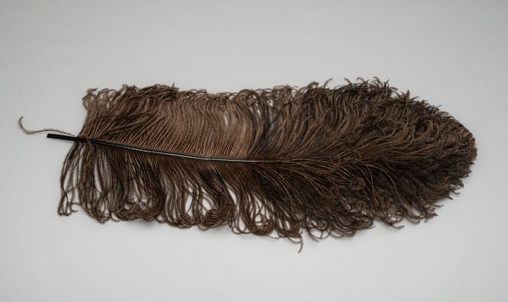 Veren hoedendecoratie of corsage