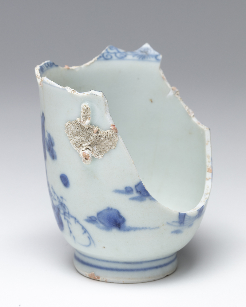 Fragment kop met twee oren