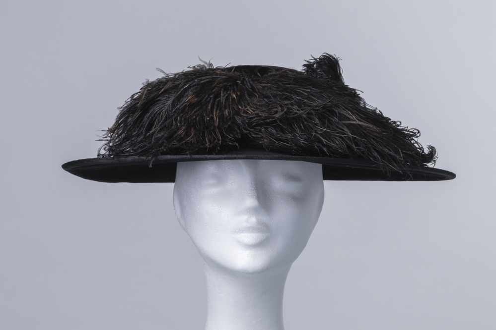 Fluwelen dameshoed met veren