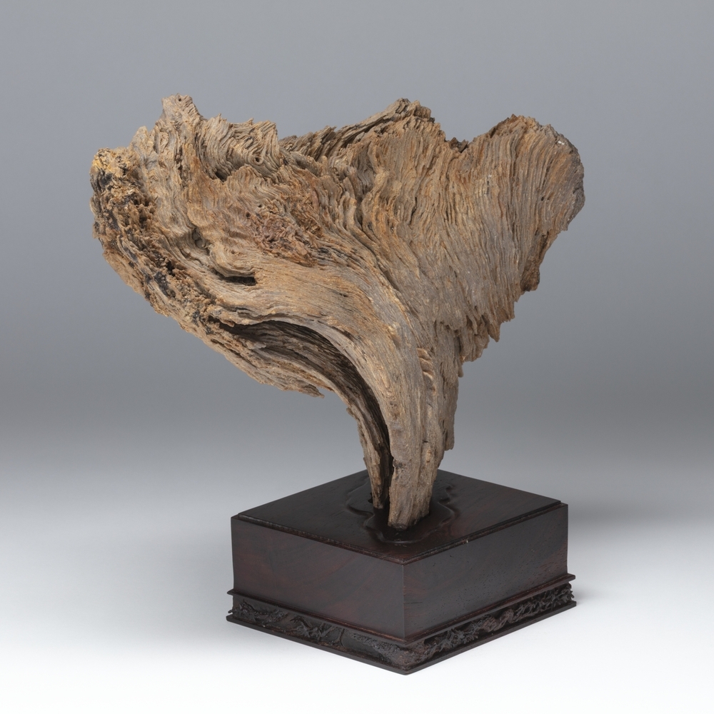 Geleerden rots (Gongshi 供石)