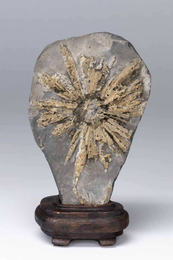 Geleerden rots (Gongshi 供石)