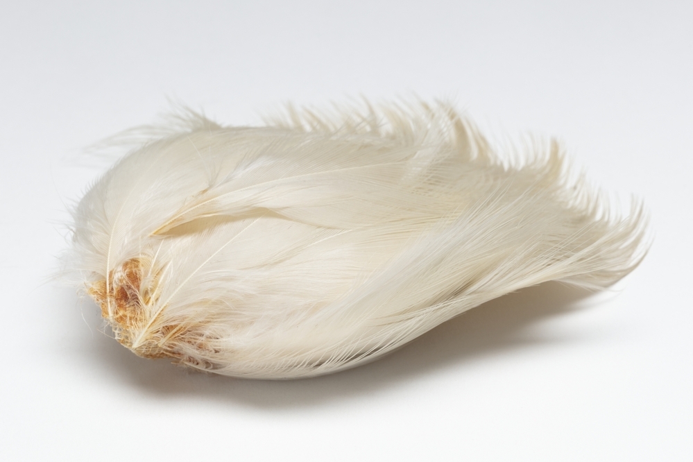 Veren hoedendecoratie of corsage